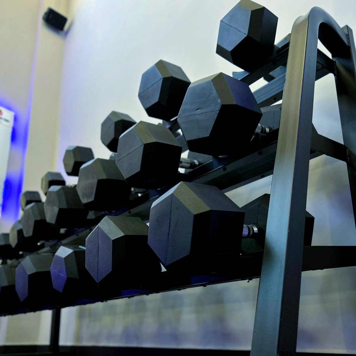 Rack de halteres organizados por peso